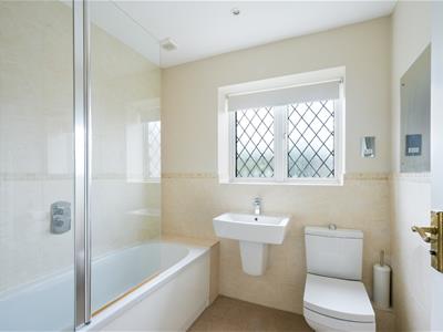 Picture 11